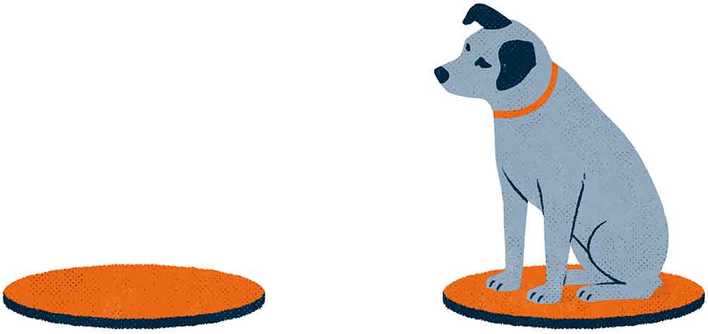 Hund_mit_Punkten_web Illustration Hund mit Punkten